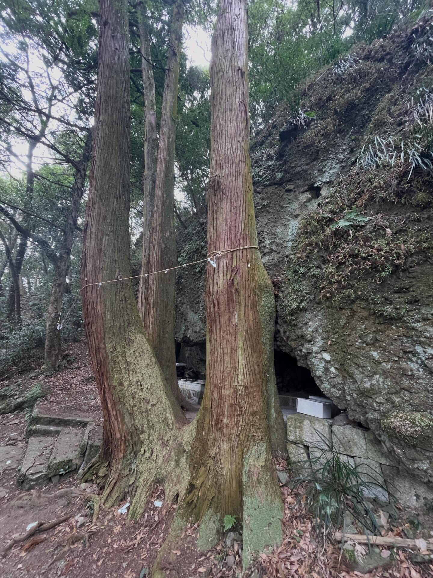 周防大島は美しい自然と文化が調和した場所で、多くの観光スポッ
