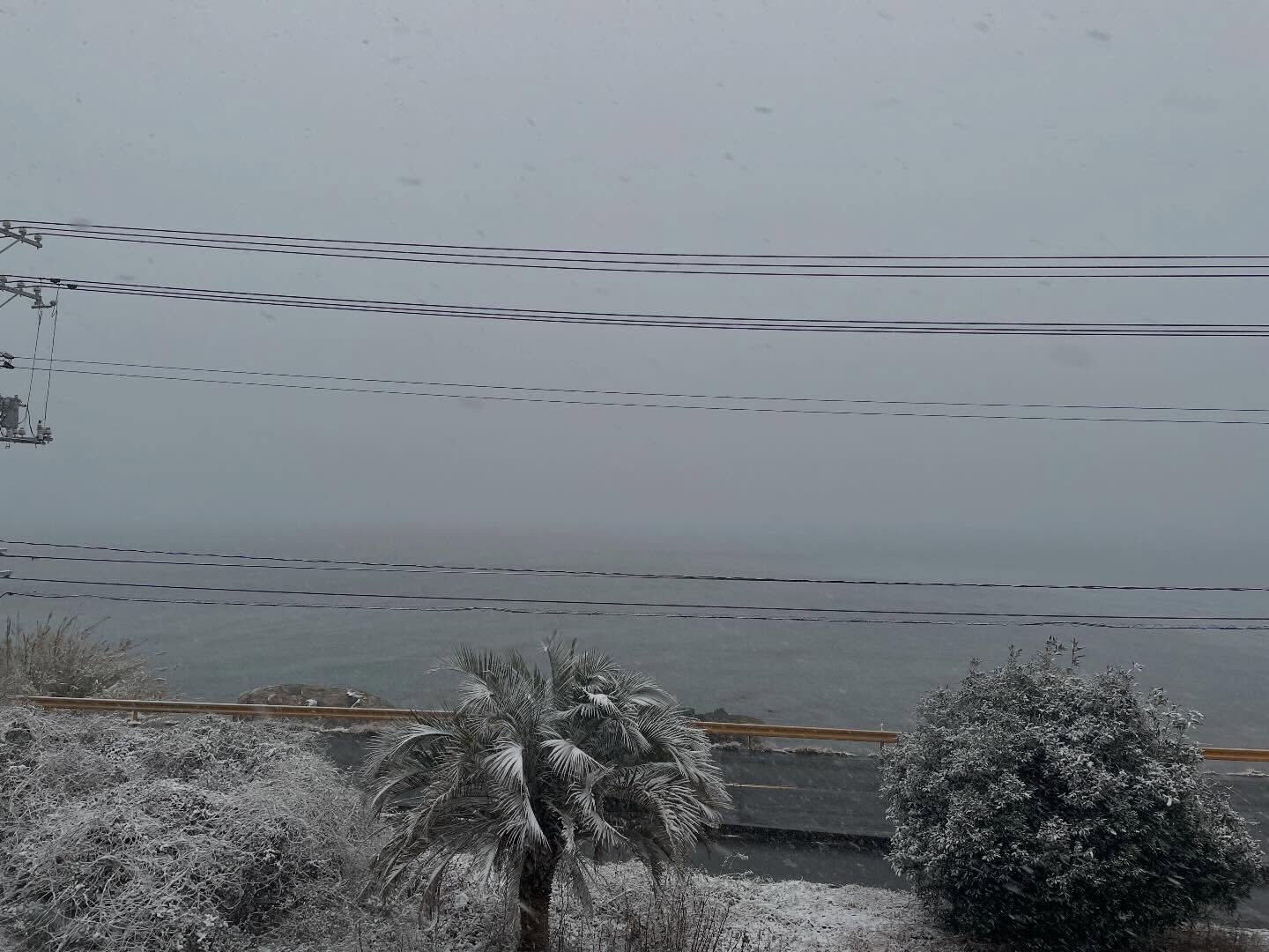 周防大島町では、なんと珍しい雪景色が広がっています❄️