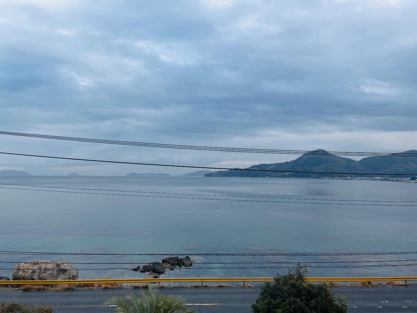 🌧️周防大島町では、今週たっぷりの恵みの雨が降り注いでいます