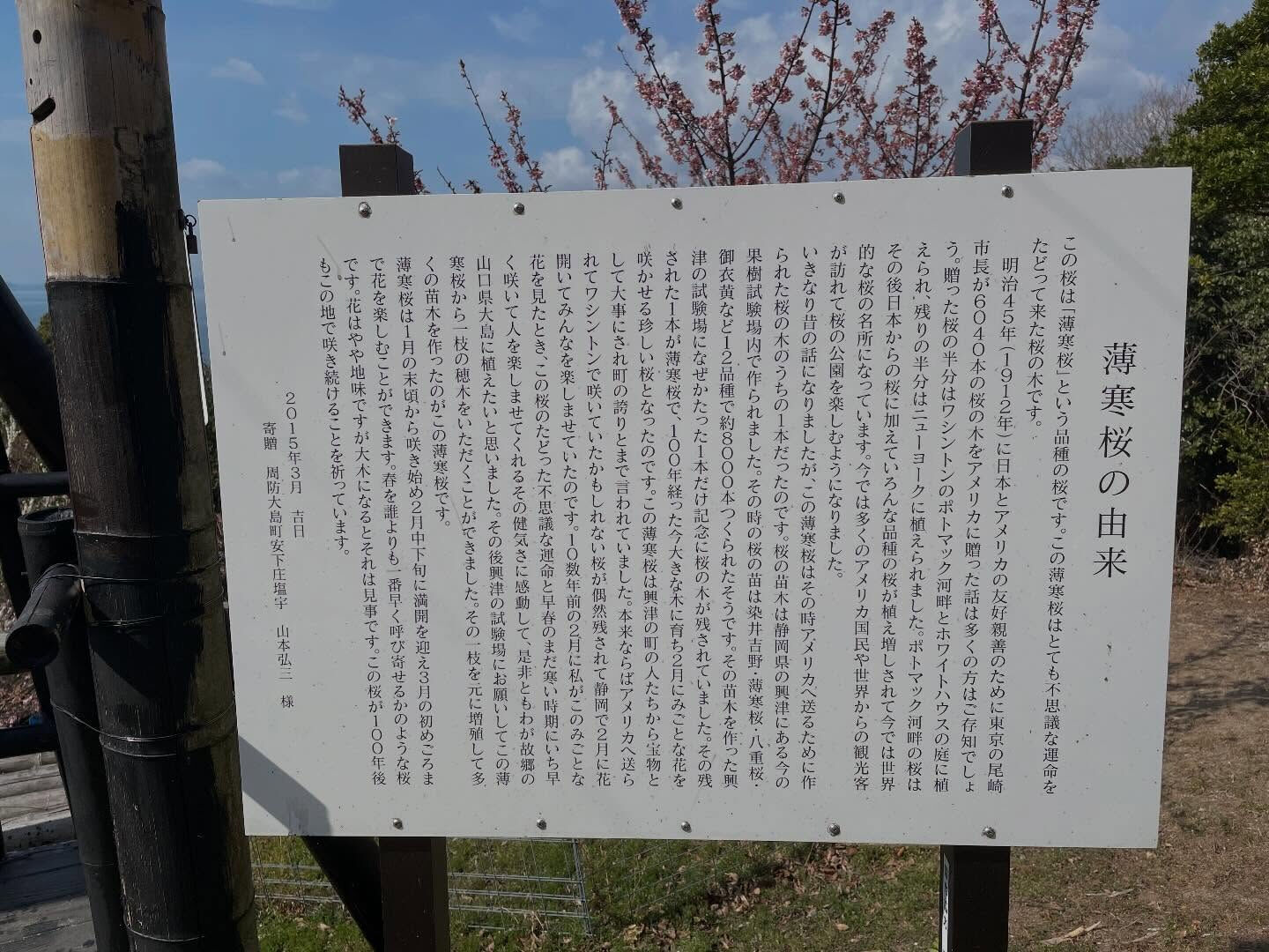 こんにちは🙋‍♀️！周防大島町で民泊「magee's HOU