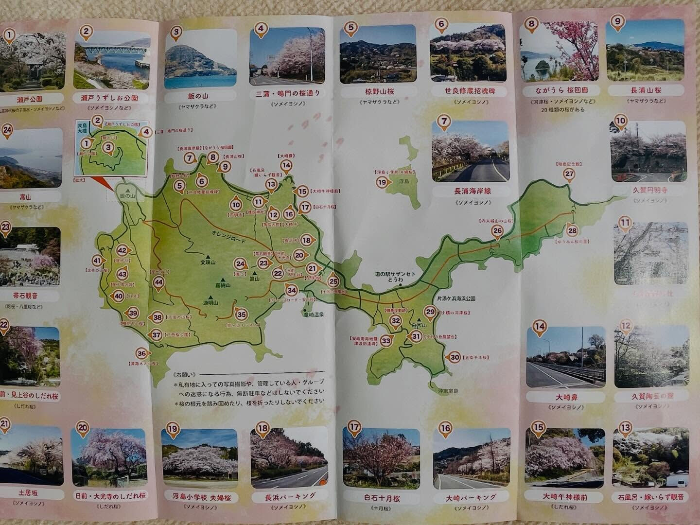 今日も小春日和ですね🌞山口県周防大島町では、最高気温が14度