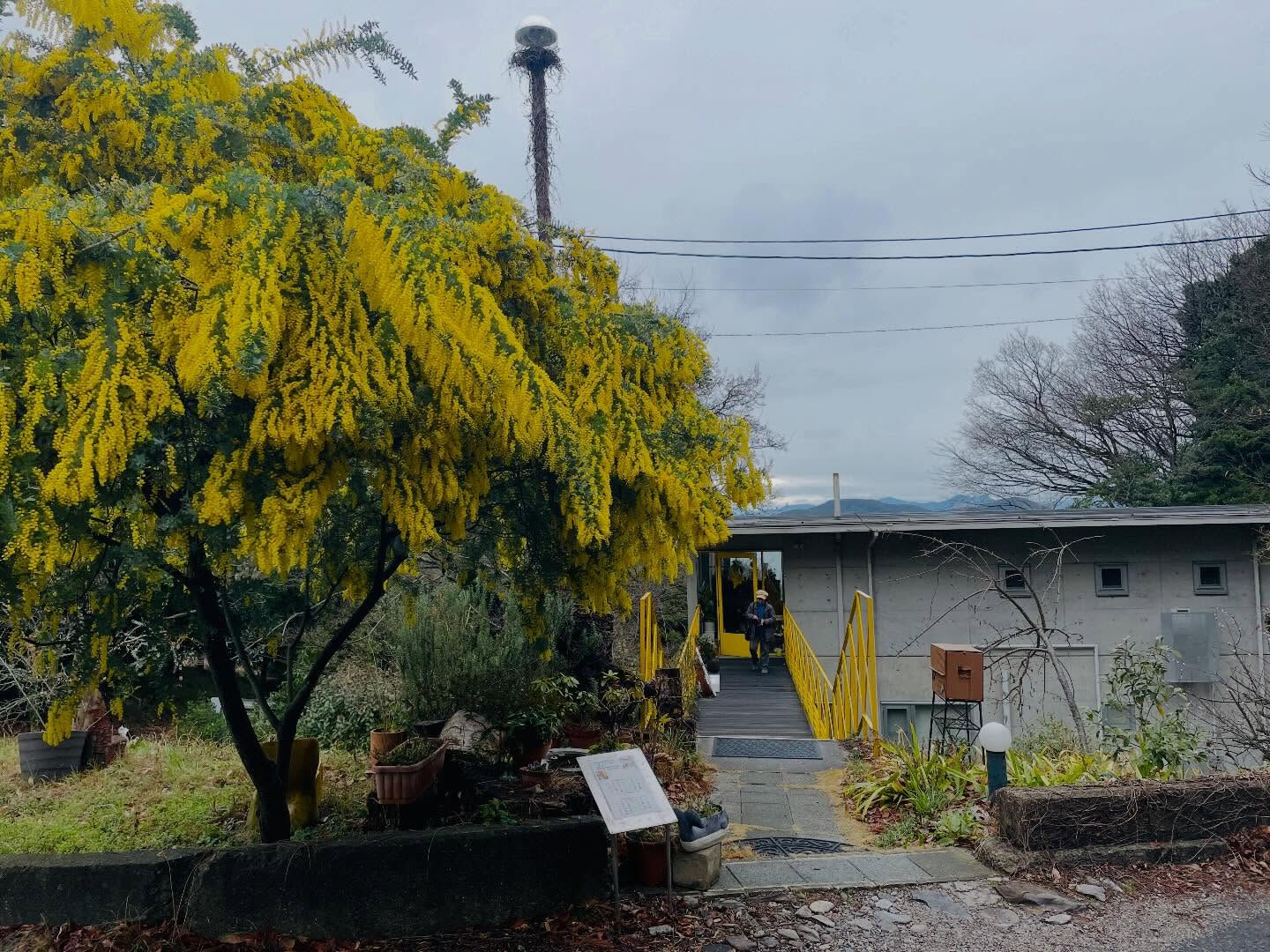 magee'sHOUSE(マギーズハウス)から車でたった3分
