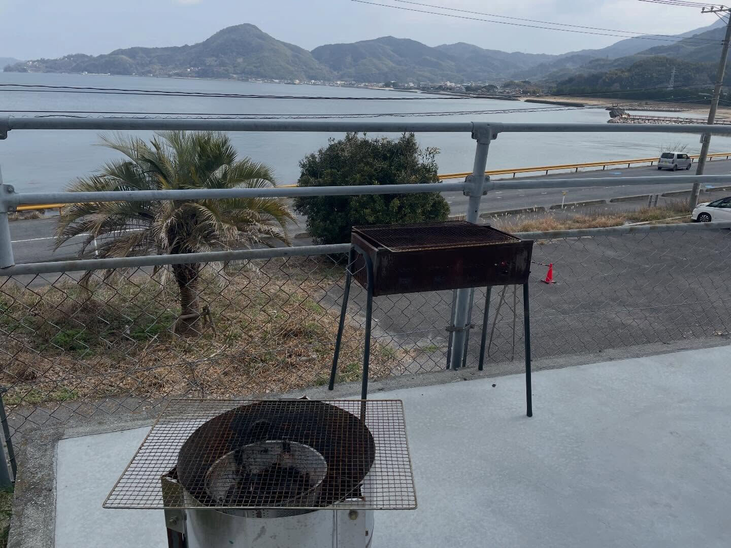 周防大島町では、今日は少し風が冷たいものの、至るところで河津