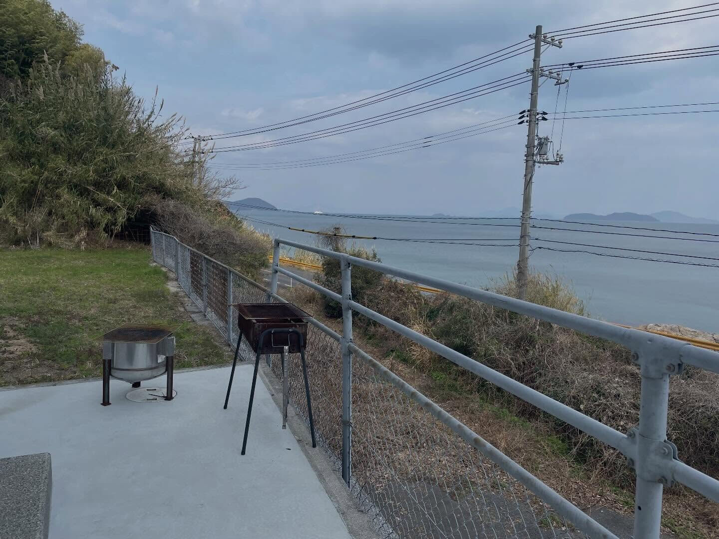 周防大島町では、今日は少し風が冷たいものの、至るところで河津