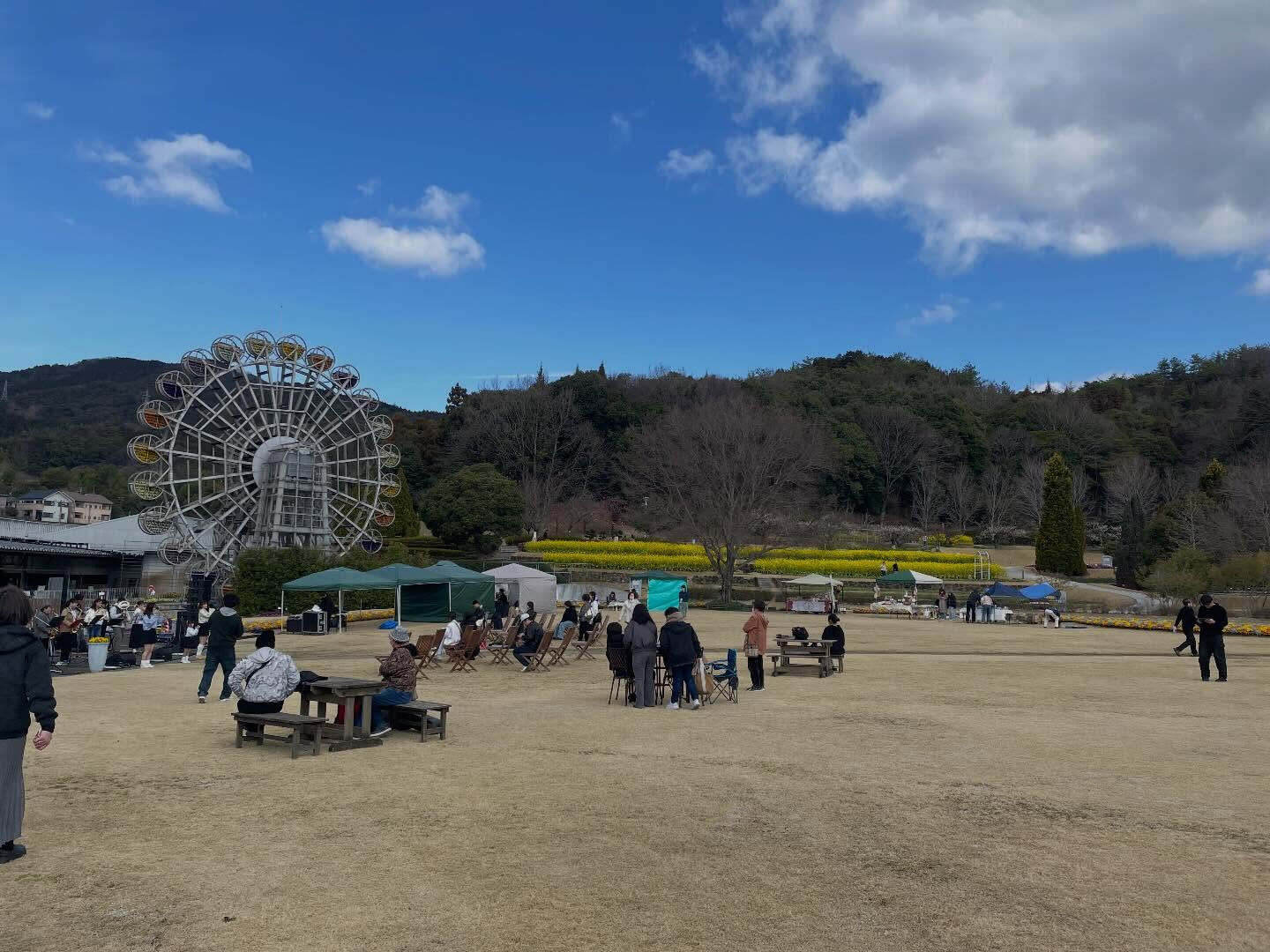 今日は、山口県柳井市にある美しい山口フラワーランドに来ていま