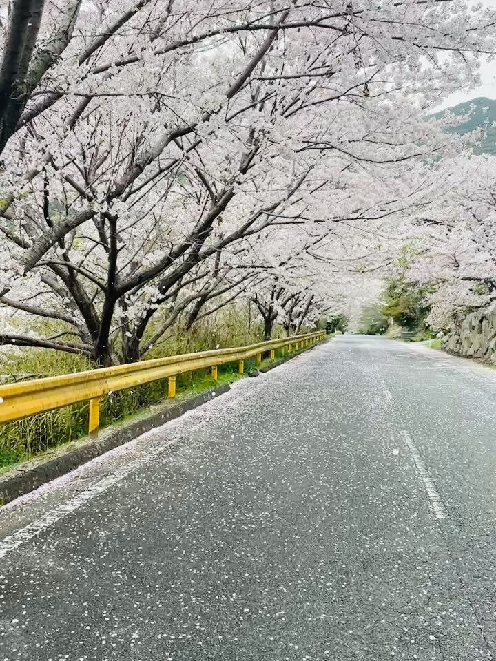 周防大島町の一棟貸し「magee'sHOUSE(マギーズハウ