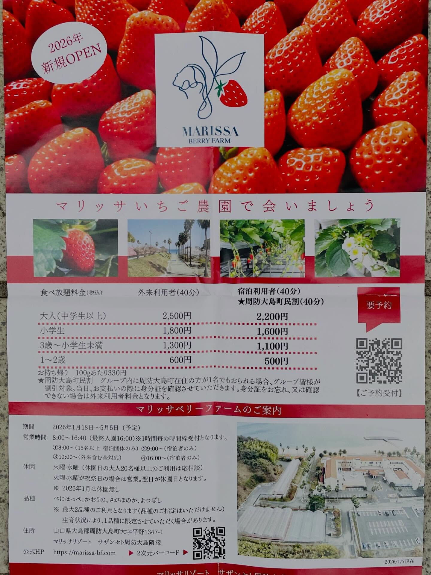 マリッサベリー(要予約)ご紹介