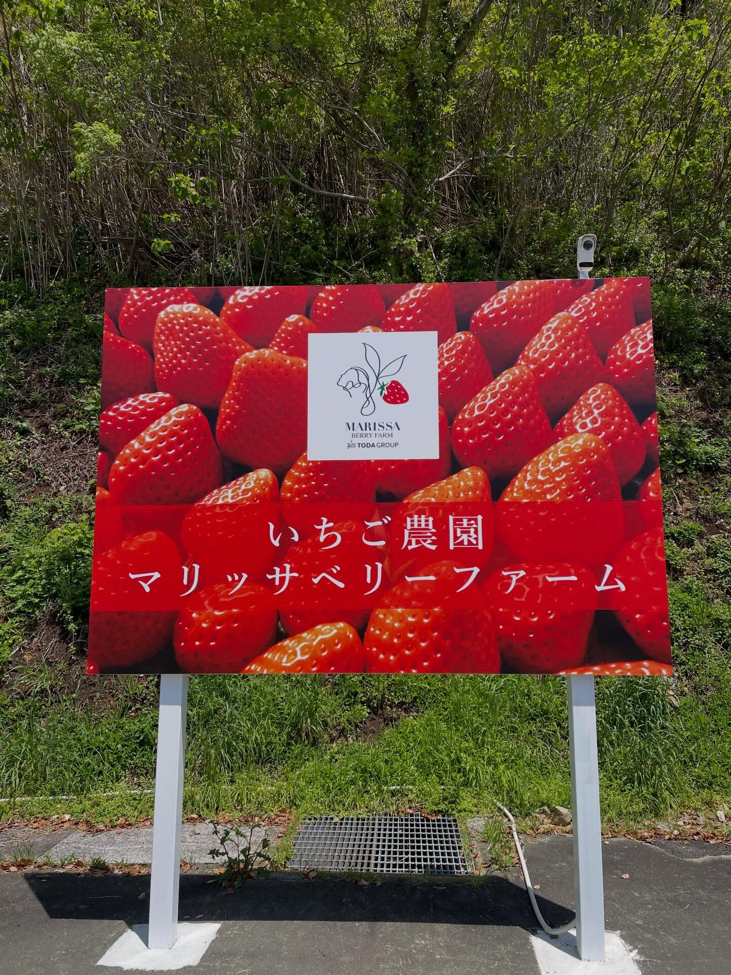 新メニューがついに完成！🎉