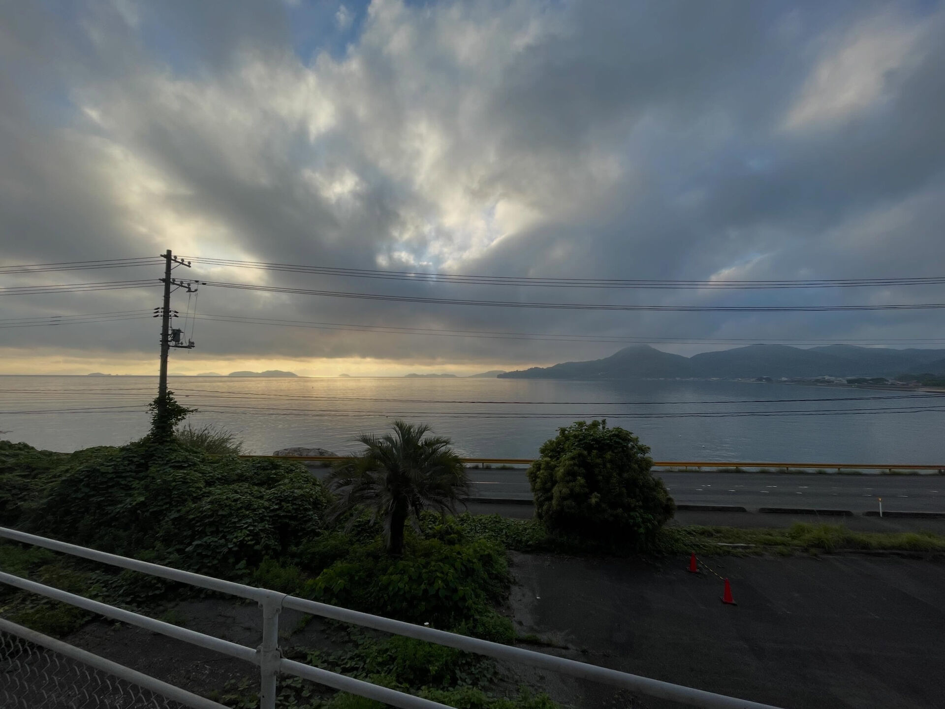 梅雨の季節でも、晴れた日は特別な魅力があります☔️🌿