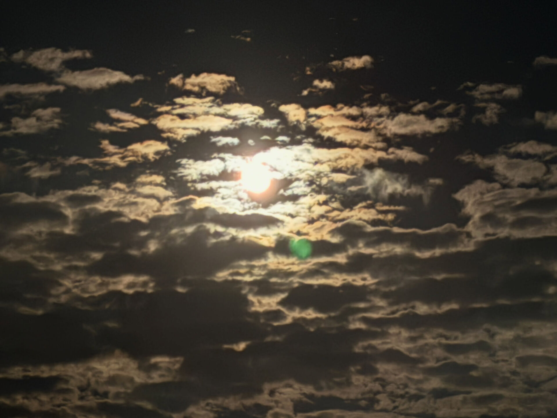 月夜に癒されるひとときを✨