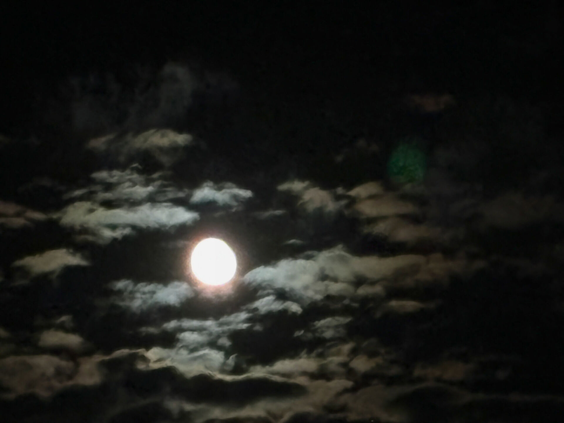 月夜に癒されるひとときを✨